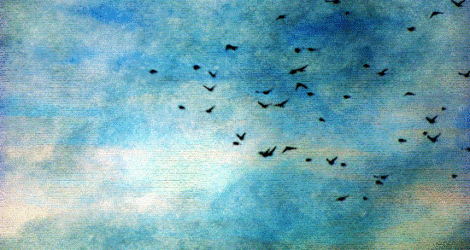 La La Land Is a Lucrative One Image